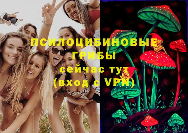 MDMA Верхний Тагил